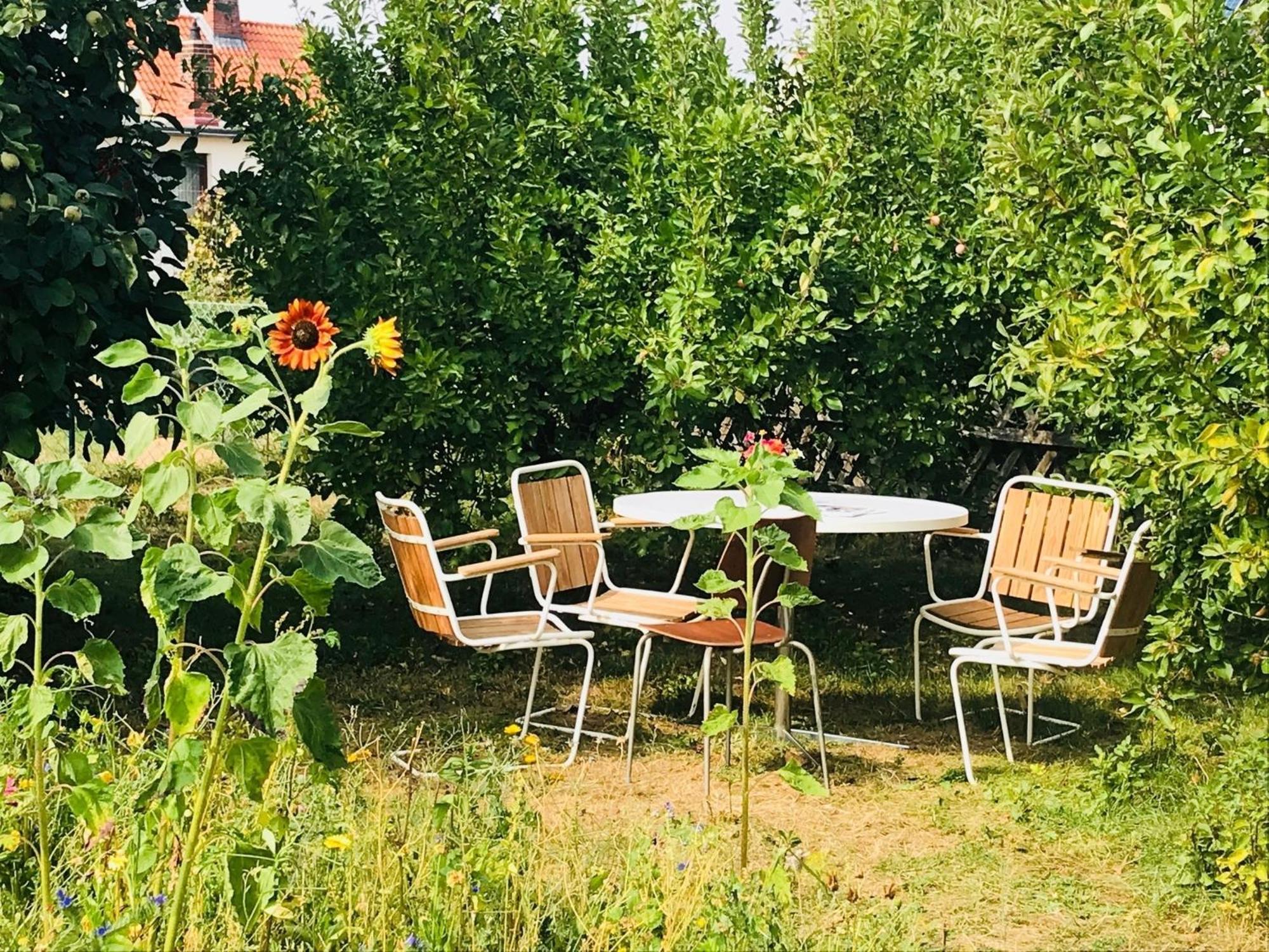 Casa Marcu Wohnung 1 Og Landkirchen Eksteriør billede